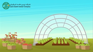 زرین دشت ایرانیان همراه شما برداشتن خال