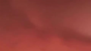 سفـــــر جنیـــن