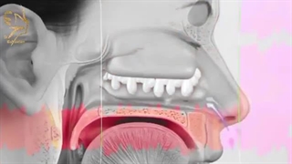 عمل اندوسکوپی چه زمانی انجام می شود؟