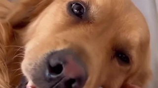 پوریاموسیوند