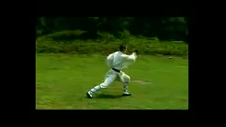 آموزش فرم مشت شائولین