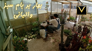 آماده سازی بهاره بام سبز والیانی - ولاگ کارهای روزانه