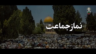 ان الارض یرثها عبادی الصالحون