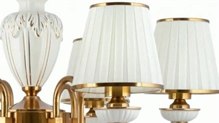 لوستر پذیرایی