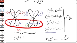 فیلم آموزش کامل تقسیم سلول-کروموزوم و چرخه سلولی-زیست یازدهم فصل 6 تمام نکات-دکتر مهدی محمد حسین زاده