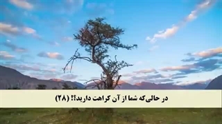 ترتیل جزء 12 مشاری العفاسی با نمایش آیه و ترجمه گویای فارسی همراه با تصاویر طبیعت
