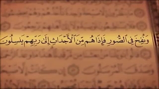 ترتیل جزء 23 مشاری العفاسی با نمایش آیه و ترجمه گویای فارسی همراه با تصاویر طبیعت