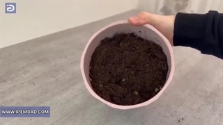 افزایش کیفیت خاک گلدان با فر اجاق گاز!