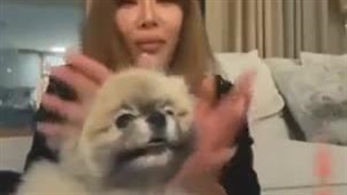 جسی با سگش چالش flower رو رفت