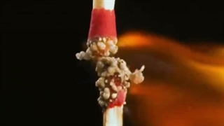 تصاویر زیبا و آهسته فیلمبرداری از لوازم روزمره با آنی حامی Ani Hami