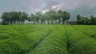 معرفی شرکت نیوشا نیک