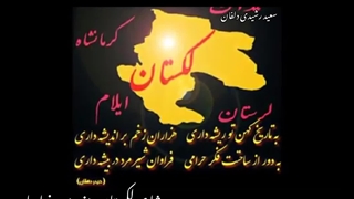 رضا جاوید هرسین لکستان