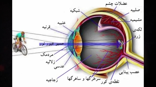بیننده در نور