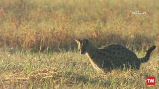 شکارچیان مرگ‌آفرین ؛ 2020 ؛ فصل 1 ؛ قسمت 3