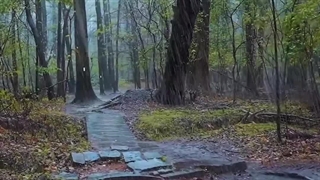 طبیعت کوتاه زیبای خدا