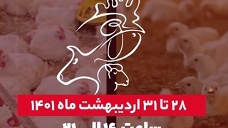 استوری موشن سپاهان دانه در نمایشگاه شیراز