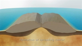 چرخه ویلسون 