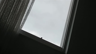 «آگاهی» گنجشک است - شهروز مرکباتی لنگرودی