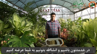 خاک مورد نیاز