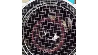 جت هیتر برقی ۵کیلو وات ، هیتر کوچک مرغداری 09199762163