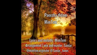 دانلود آهنگ جدید میم تم به نام پاییزها دیدم