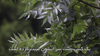 از بین رفتن اعمال نیک، بواسطۀ غیبت(آیت الله العظمی مظاهری)