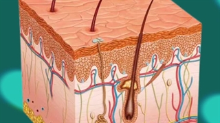 نمایندگی مینی هایفو ، فیلم مینی هایفو ، آموزش مینی هایفو ، راهنمای مینی هایفو