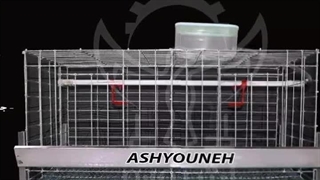 اطلاعات کامل قفس مرغ یک طبقه