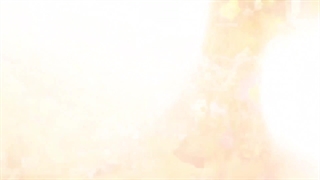 معرفی گیاه دیفن کاملیا