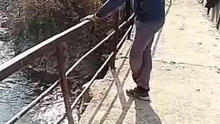 فیلم سینمایی یادگاری