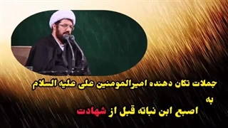 جملات تکان دهنده حضرت علی علیه السلام قبل از شهادت