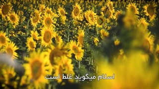 کار و تلاش در کنار اعمال عبادی(آیت الله العظمی مظاهری)