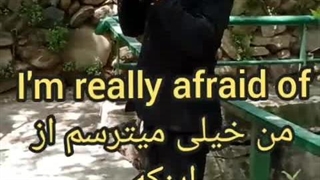 دیالوگ ماندگار فیلم