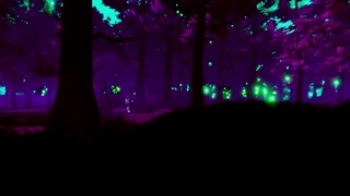 B.I (비아이) '꿈결 (Illusion)' VISUALIZER (With TOBI)