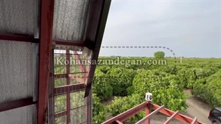 اجرای کلبه سوئیسی (A-frame) در ساری