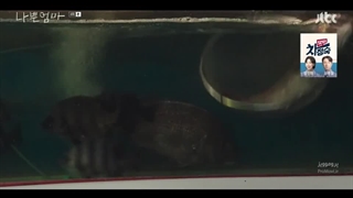 سریال کره ای مامان بد قسمت04 زیرنویس فارسی چسبیده     #لایک کنید و کانال ما رو دنبال کنید