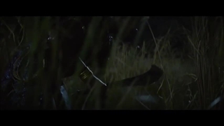 38-The Woman King - Official Trailer