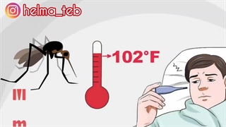 مالاریا