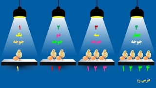 انیمیشن شمارش تعداد جوجه ها برای مقطع ابتدایی