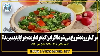 مرگ از روده شروع می شود اگر این گیاه را دارید، چرا باید بمیرید؟