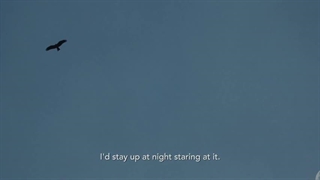 All That Breathes - Official Trailer