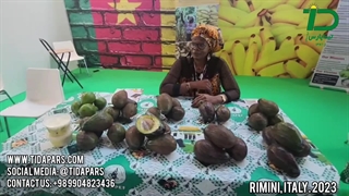 گزارش تیداپارس از نمایشگاه مک فروت 2023- قسمت سوم- تکنولوژی های جدید