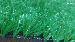 بهترین انتخاب چمن مصنوعی کد 104