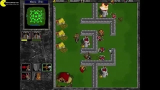 گیم پلی وارکرفت ۲