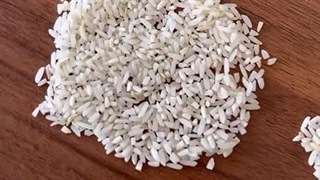 سرلاشه نماشون اصل