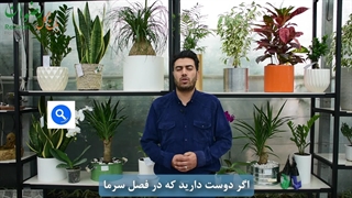 محافظت از گیاهان در فصل سرما