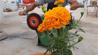 بازی‌مازی - 1