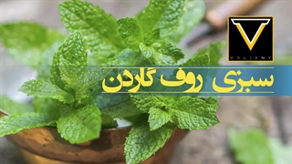 کاشت و برداشت سبزی روی روف گاردن | ولاگ کارهای روزانه