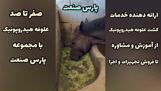 علاقه اسب‌ها به علوفه هیدروپونیک