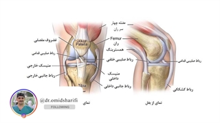 آسیب های ورزشی به زانو